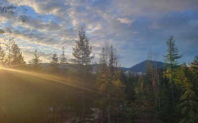 Thank You, Cocolalla ❤️