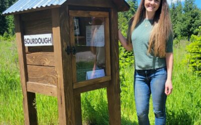 The Beginning of My Blessed Homestead