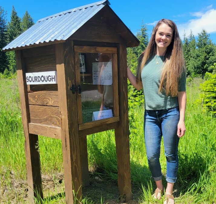 The Beginning of My Blessed Homestead